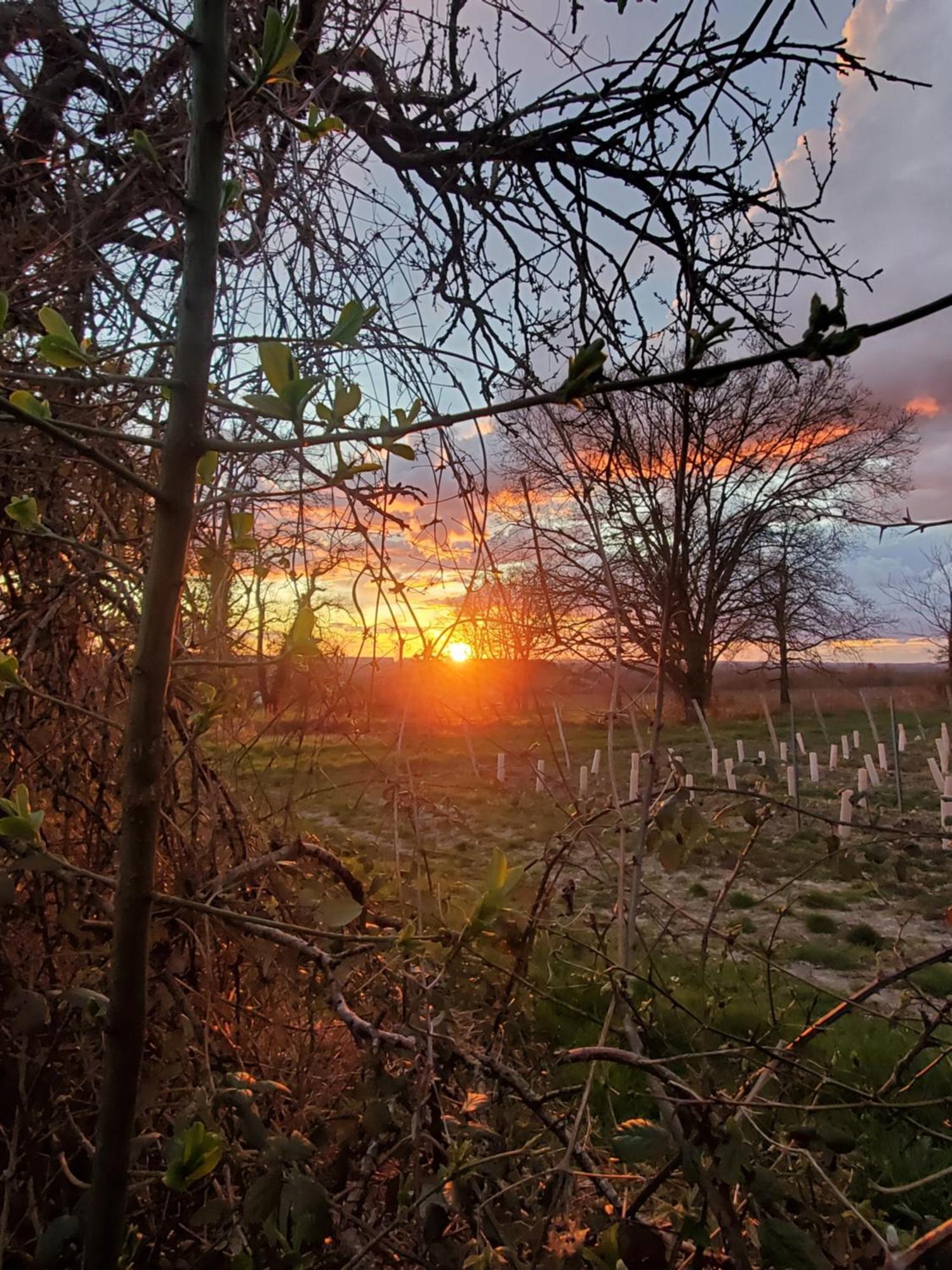 Gite Au Coeur De La Touraine La Chapelle-sur-Loire Eksteriør billede