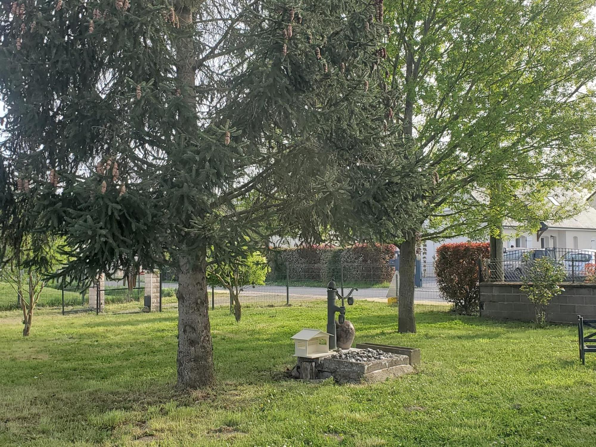 Gite Au Coeur De La Touraine La Chapelle-sur-Loire Eksteriør billede