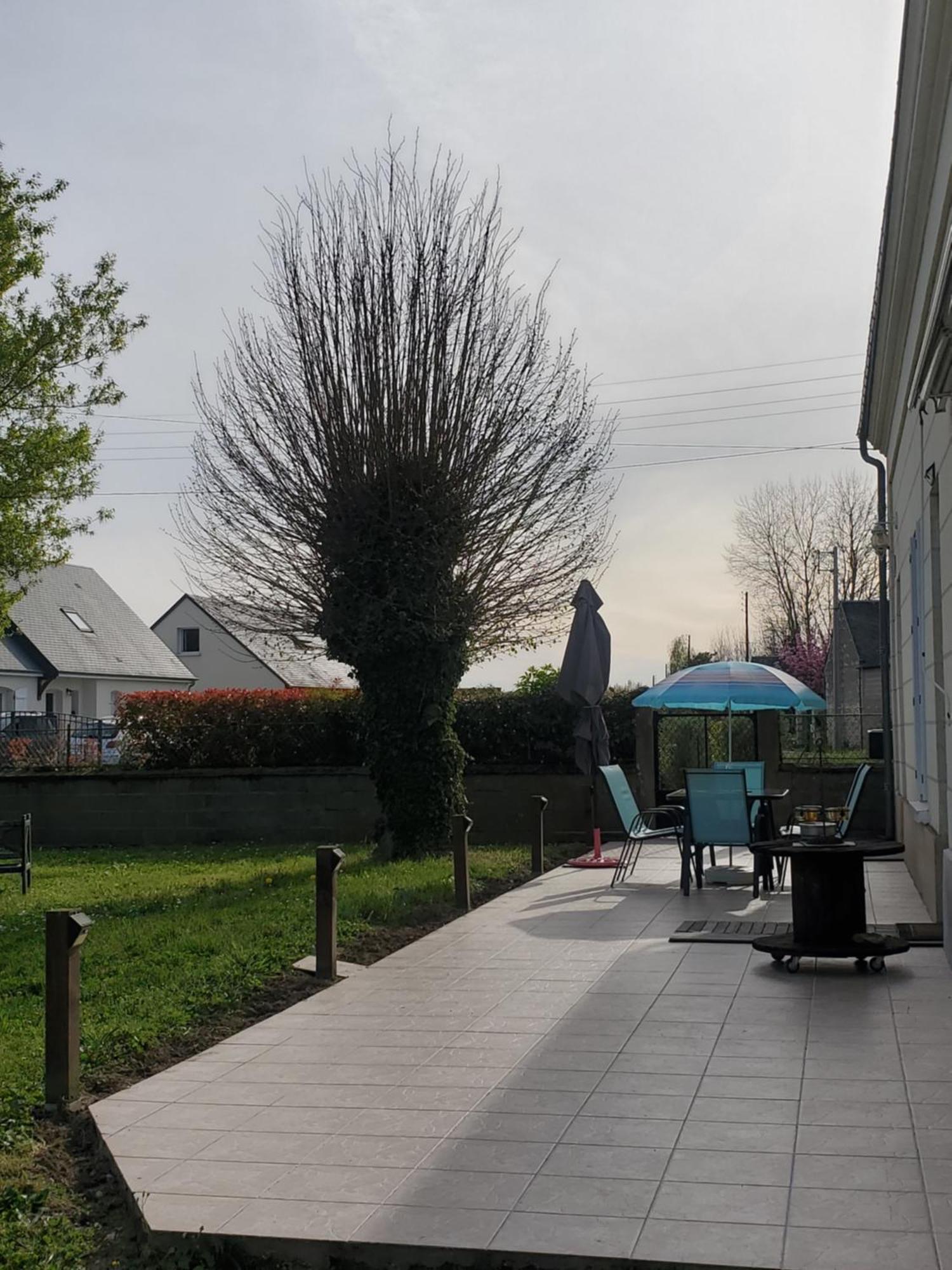 Gite Au Coeur De La Touraine La Chapelle-sur-Loire Eksteriør billede
