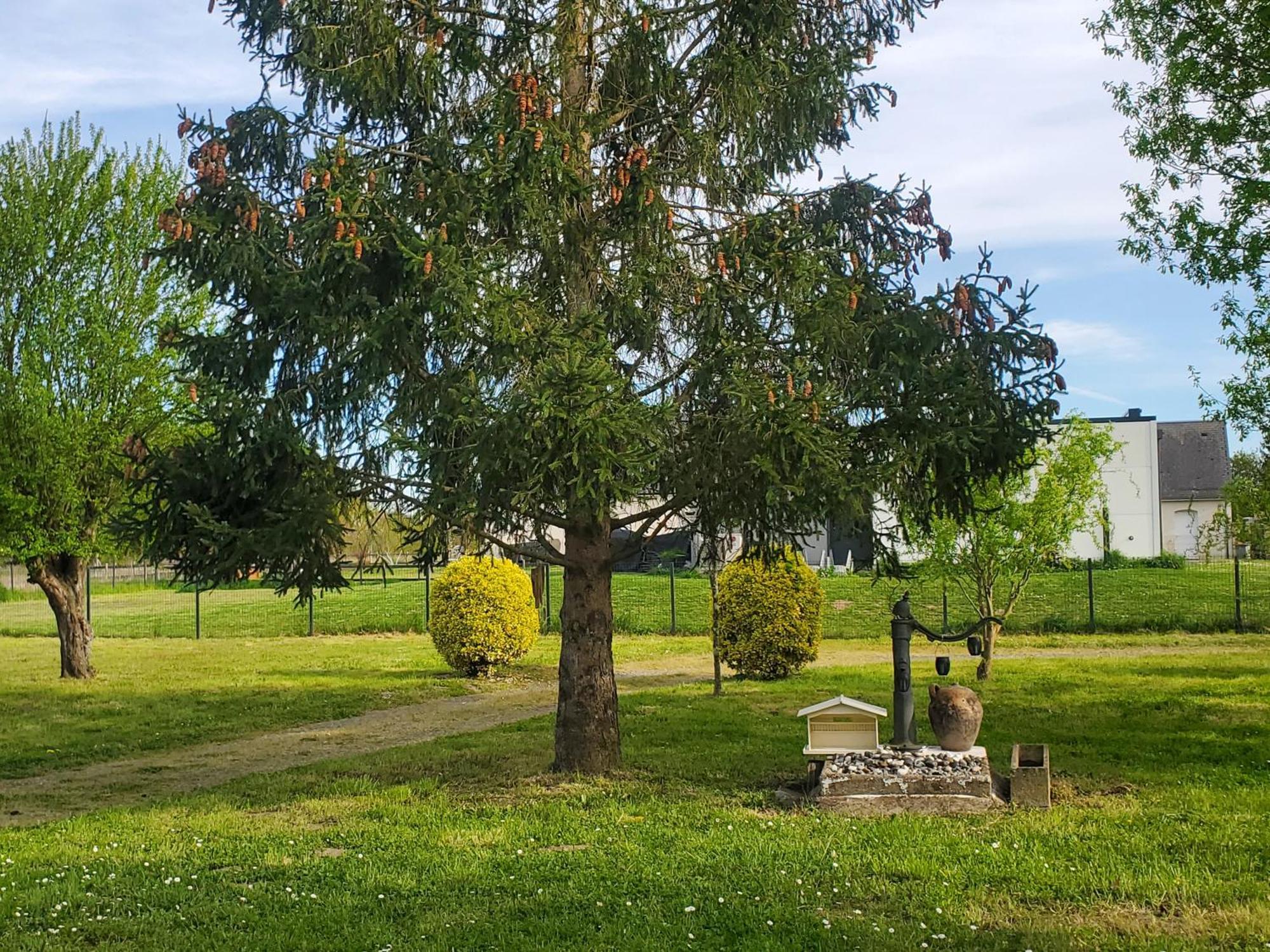 Gite Au Coeur De La Touraine La Chapelle-sur-Loire Eksteriør billede
