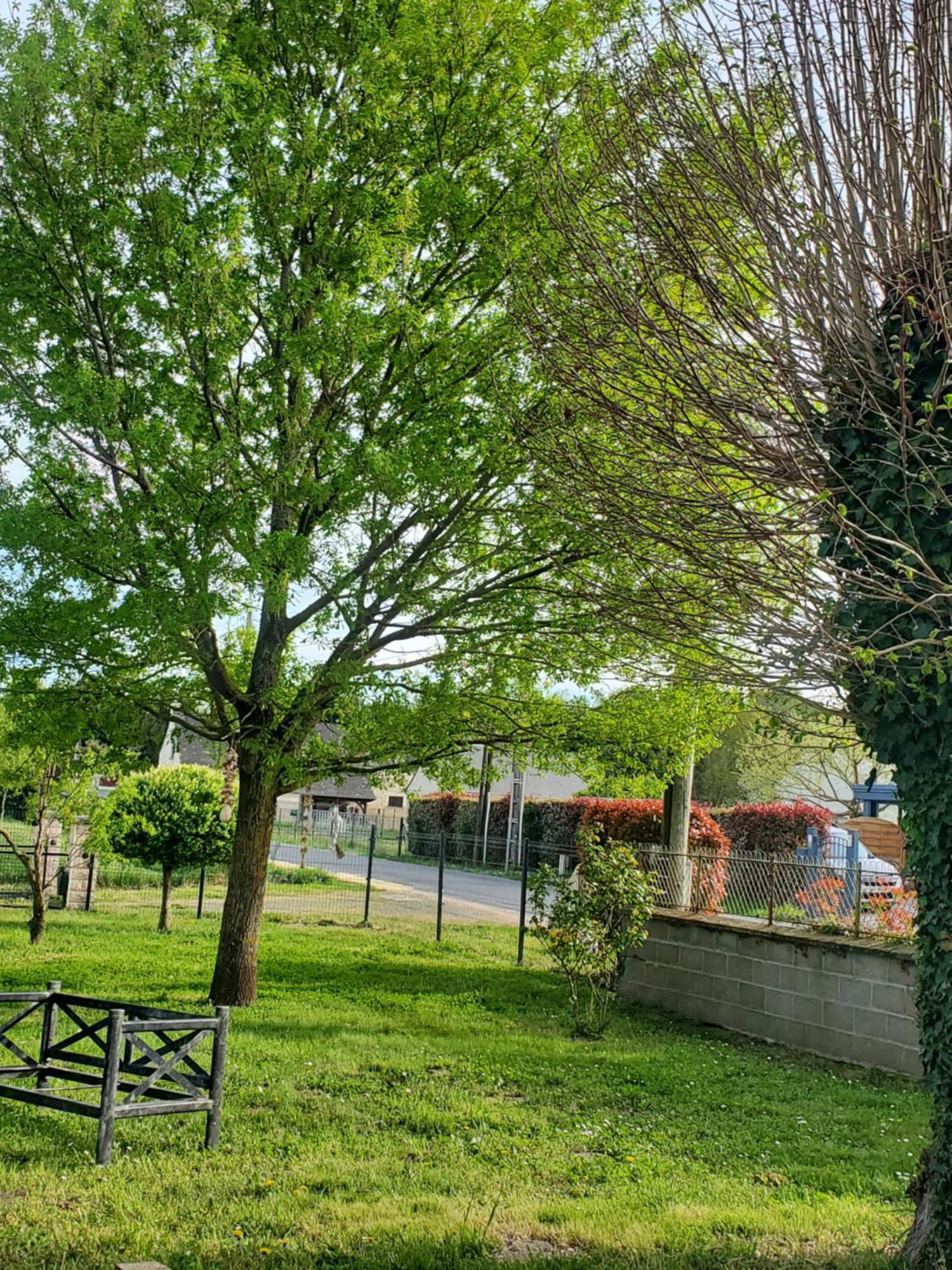Gite Au Coeur De La Touraine La Chapelle-sur-Loire Eksteriør billede